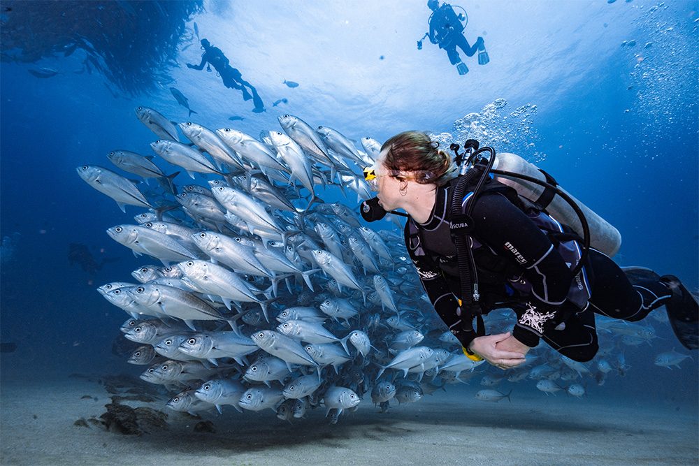 Best Scuba Diving in Abu Dhabi