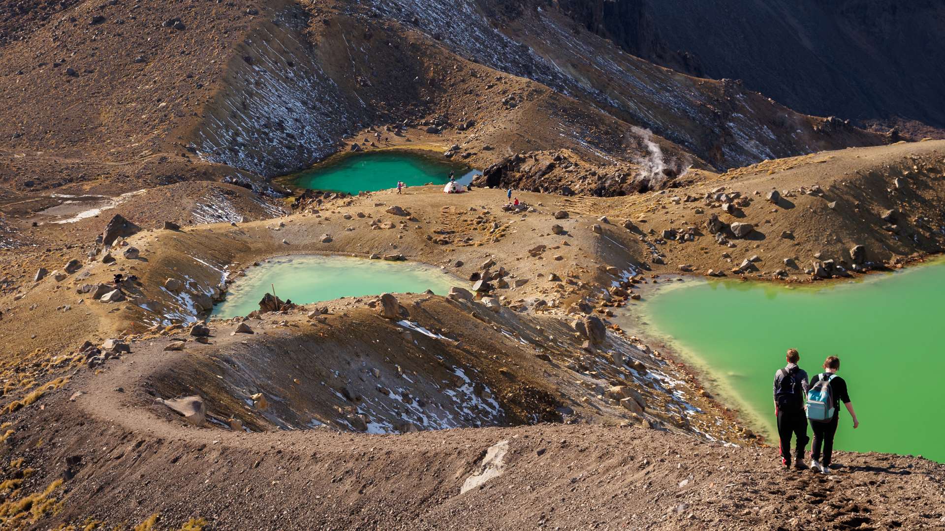 Tama Lakes Track