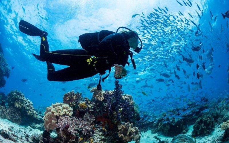 Scuba Diving Albania Price