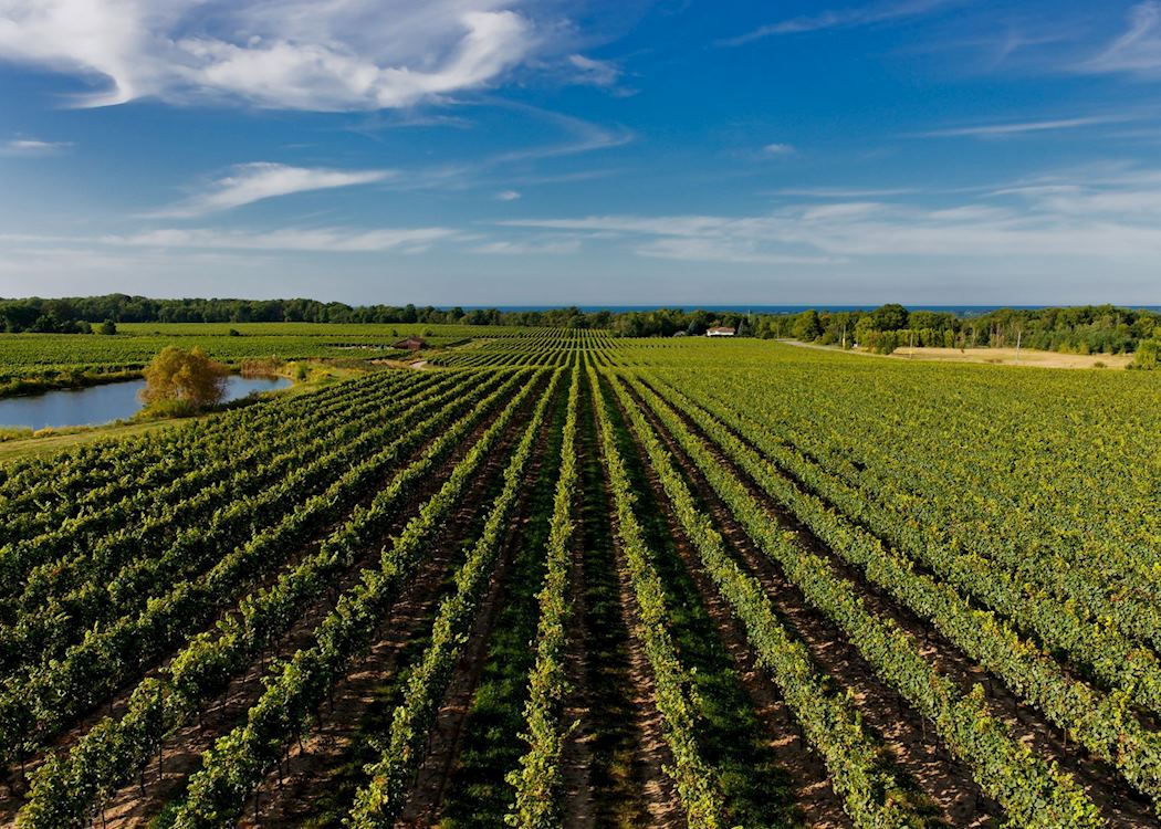 Niagara on the Lake Wine Tour Packages Price