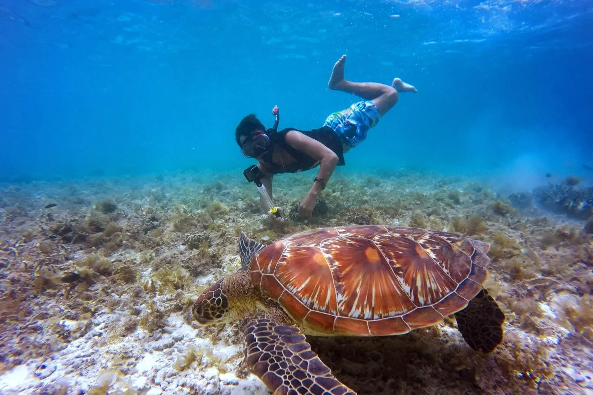 Moalboal Snorkeling Map