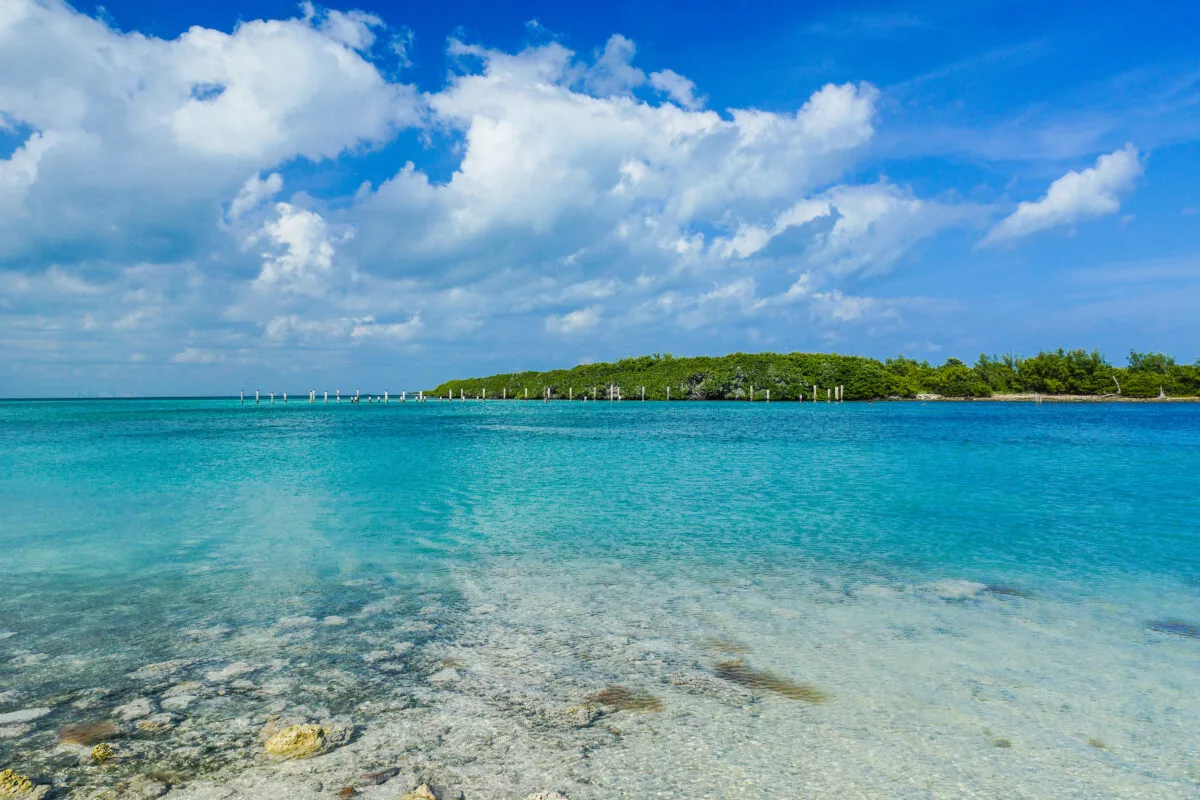 What to Do in Miami Before Cruise