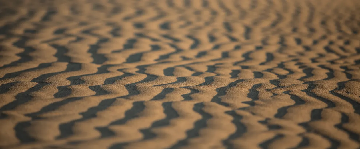 Sand Texture Detail