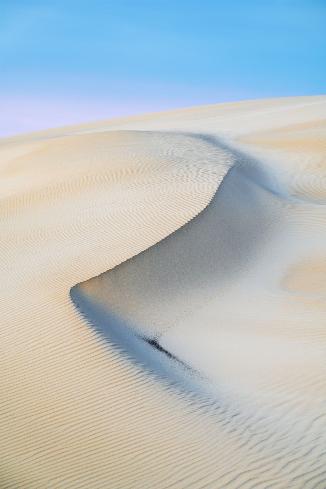 Dune Crest Ridge