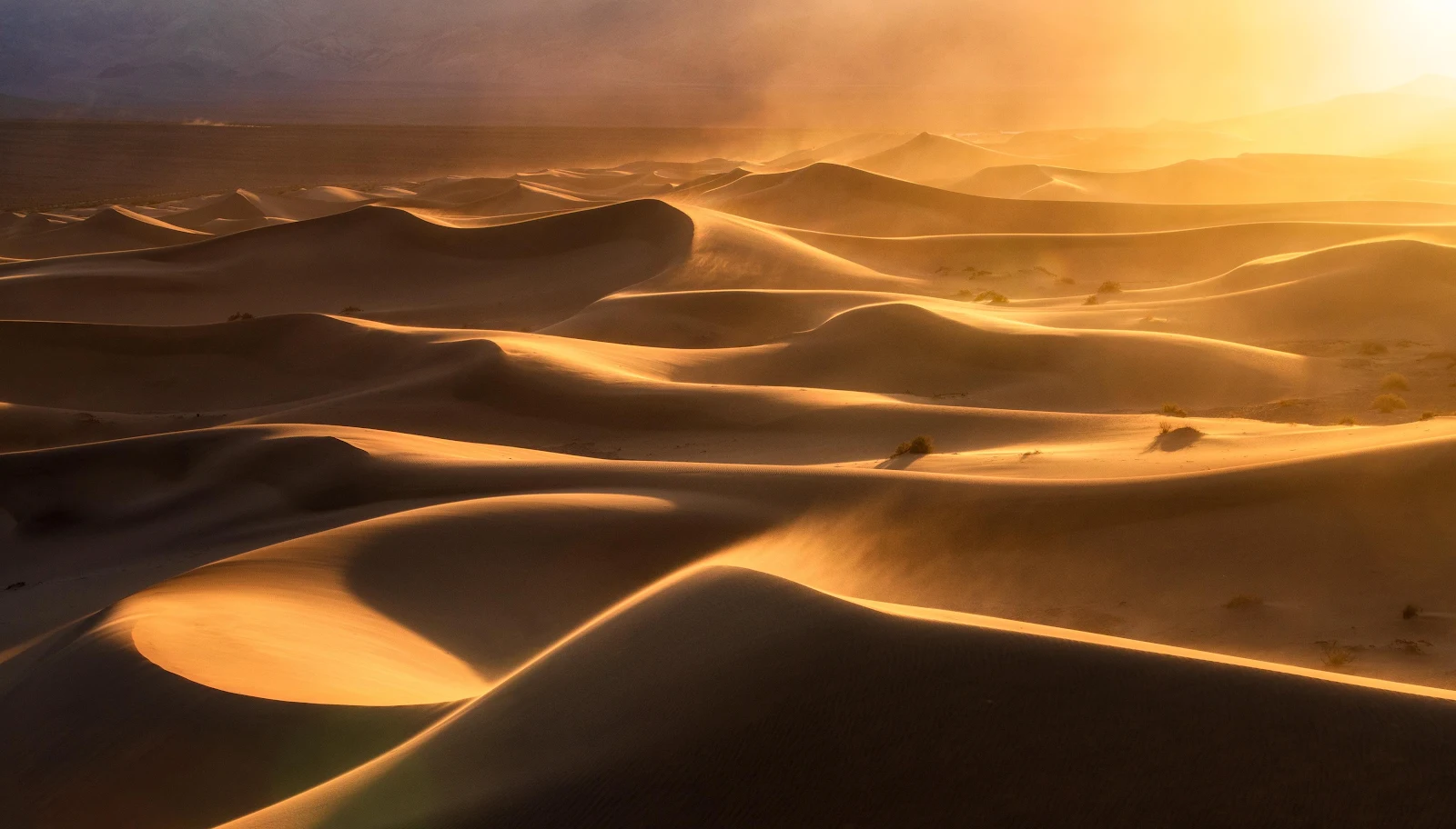 Desert Safari Jeddah Photos