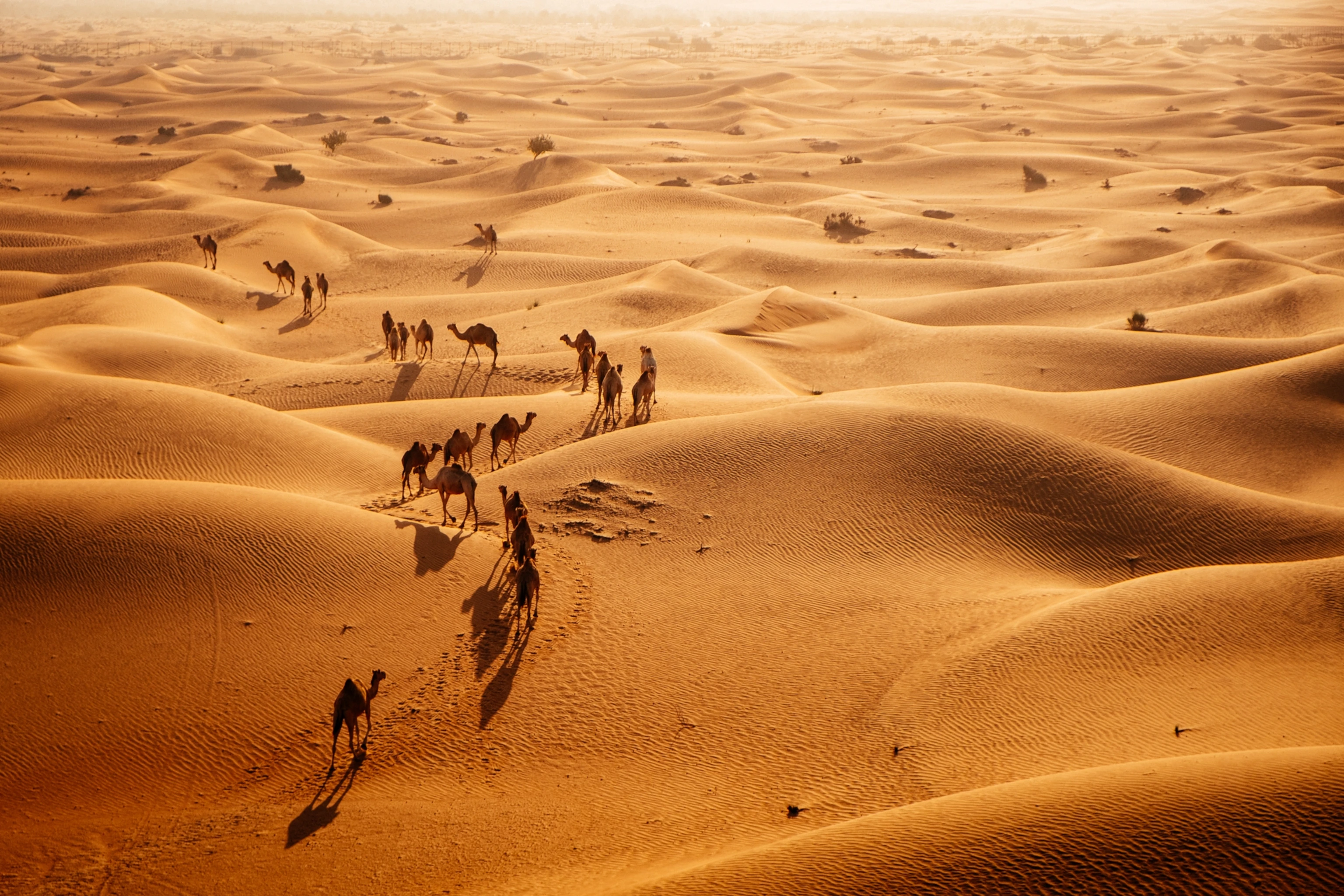 Desert Safari Jeddah Location