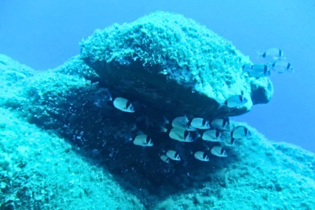 La Maddalena Archipelago
