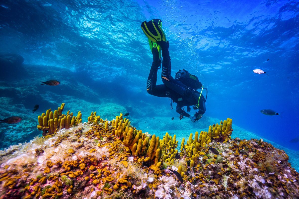 Tavolara Marine Reserve