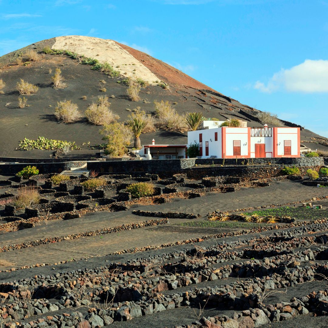 Historic Bodega