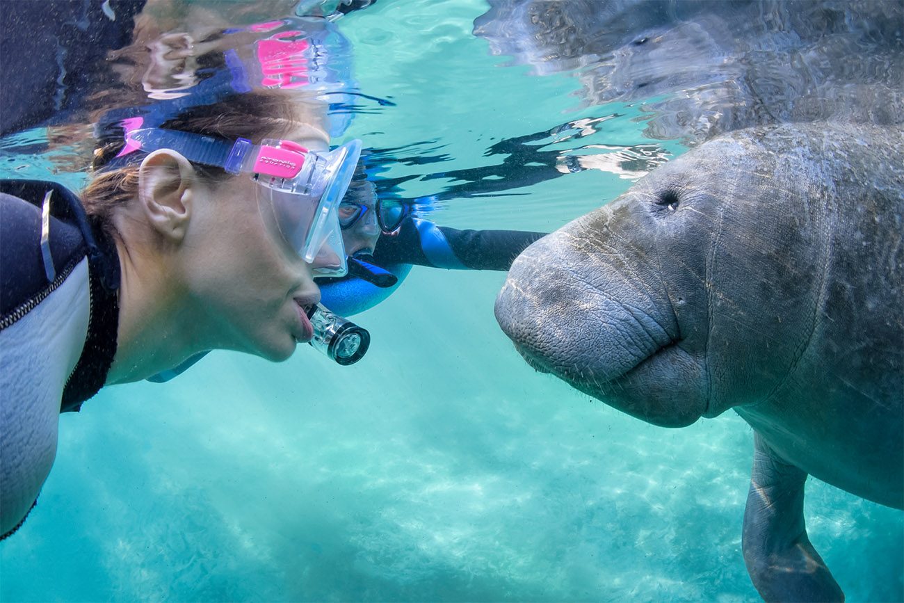 Your experience at Snorkeling Orlando