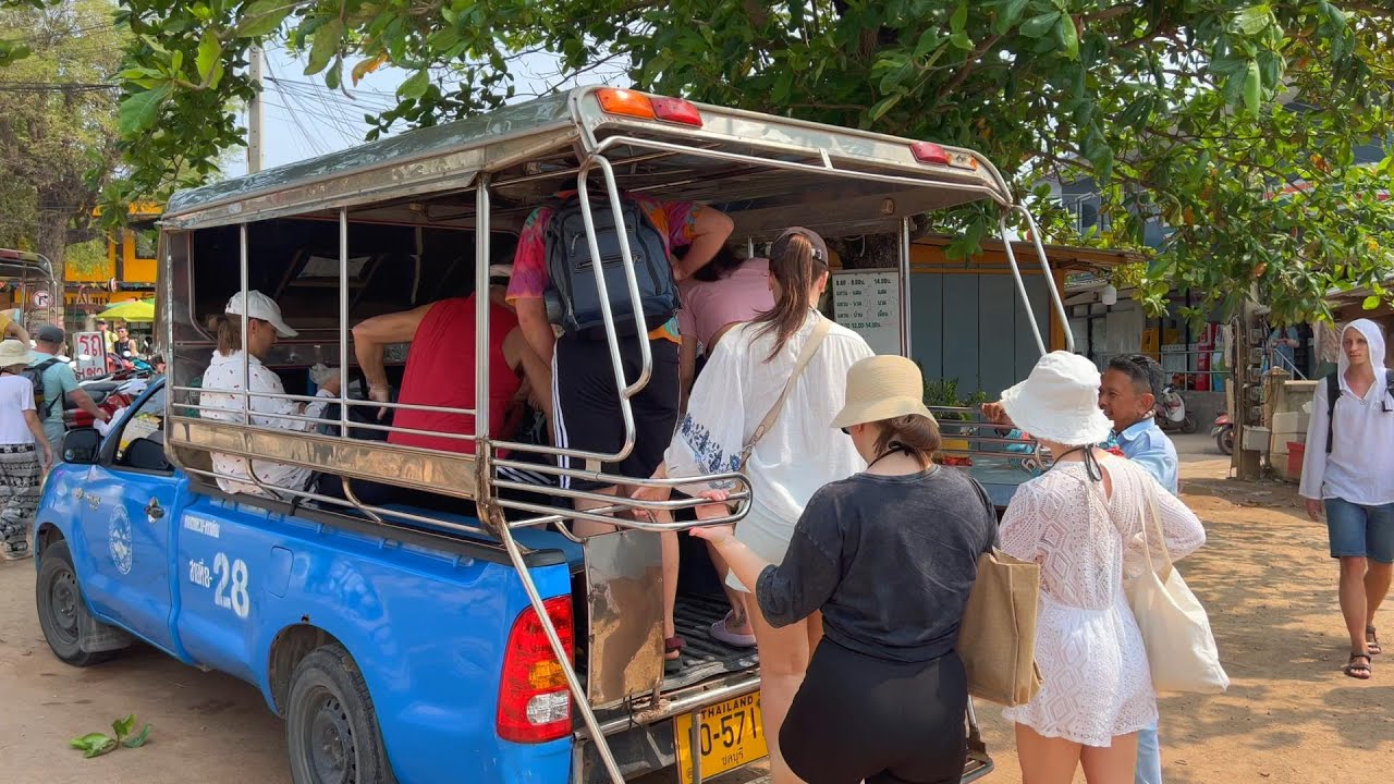 Island Transit