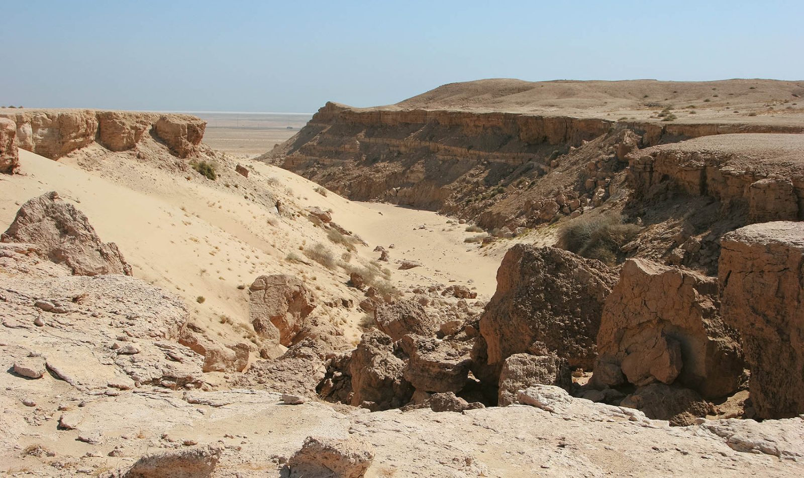 Desert Safari Kuwait: Dunes, Camps and Sunsets