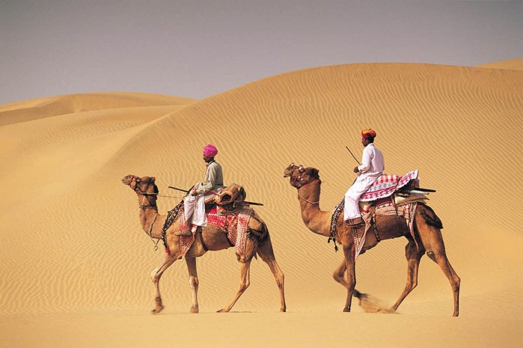 Camel Riding Path