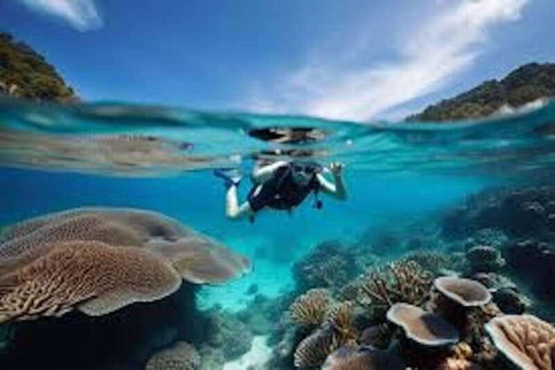 Koh Lipe Snorkeling