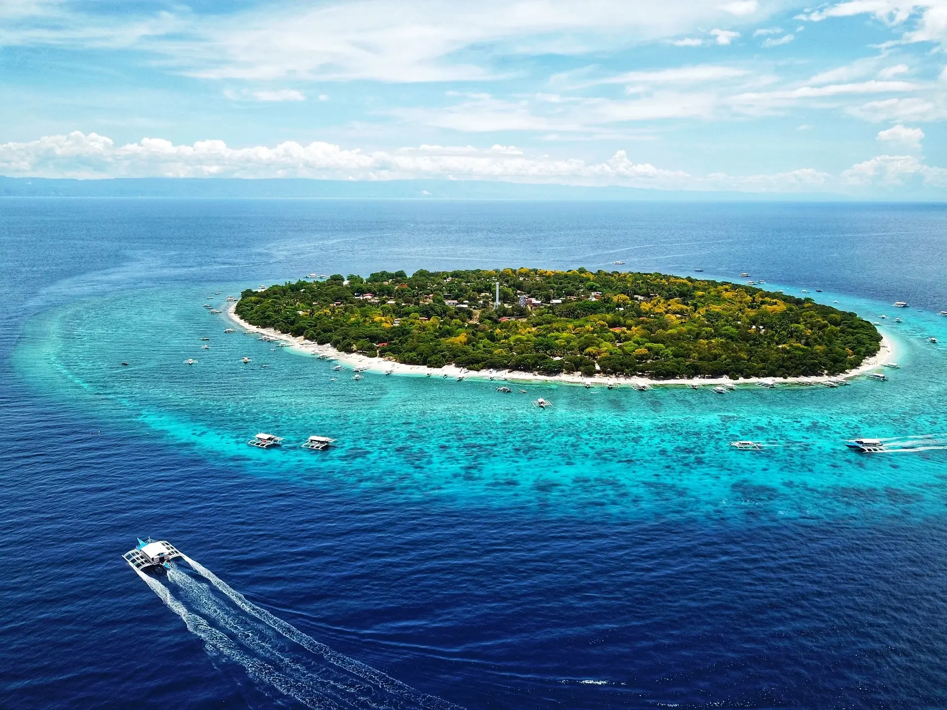 Balicasag Island Snorkeling: Reef and Turtle Sanctuary
