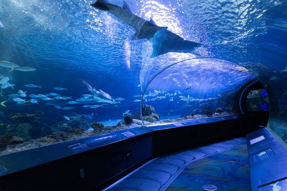 Ripley's Aquarium of Canada