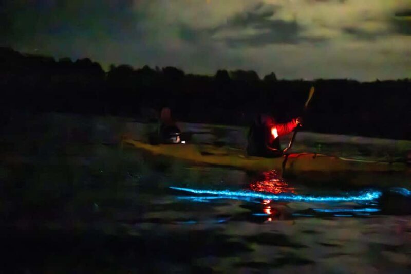 Bioluminescence Kayak Tour Auckland