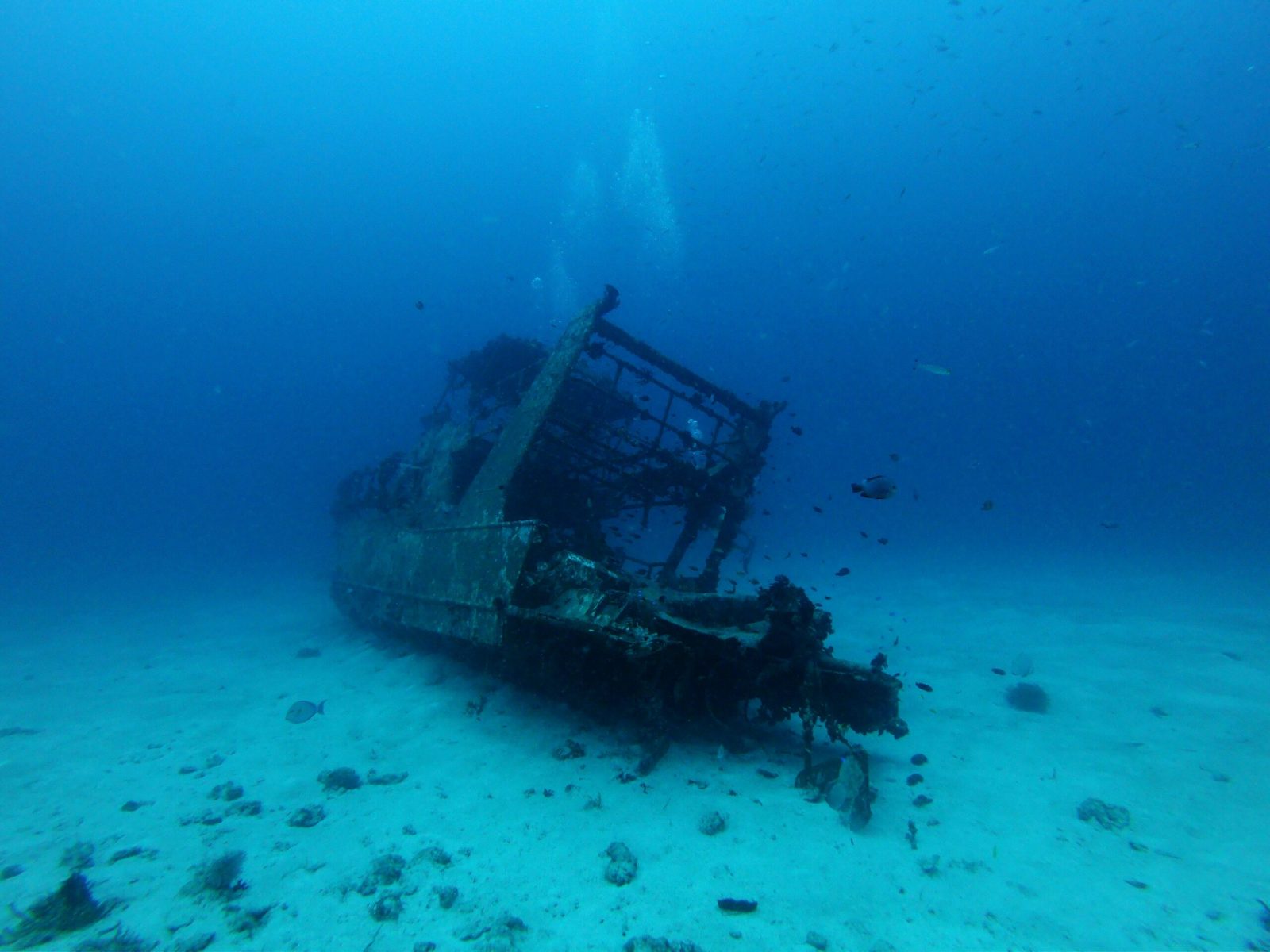 Jane Sea Shipwreck