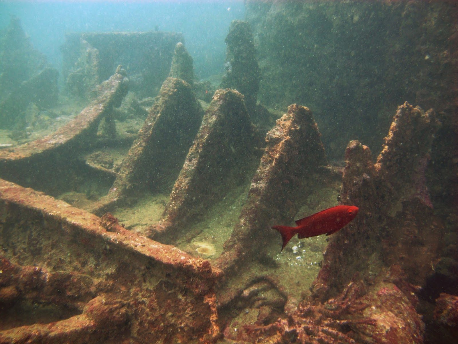 SS Conch Wreck