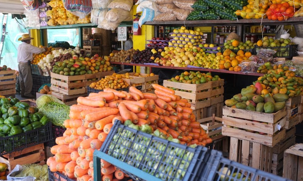 Puerto Vallarta Cooking Class Experience