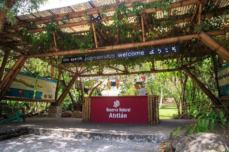 Arrive at the reserve