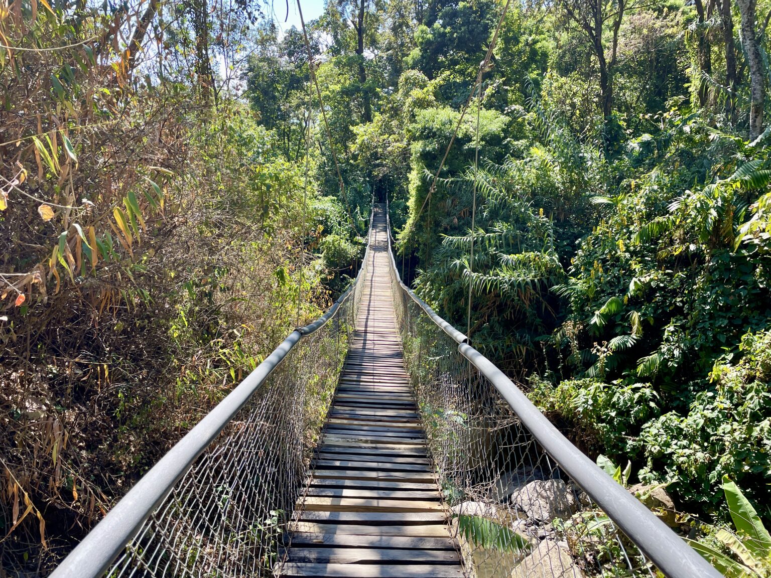 Hanging Bridges