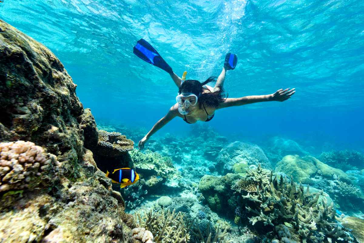 Puerto Galera Snorkeling