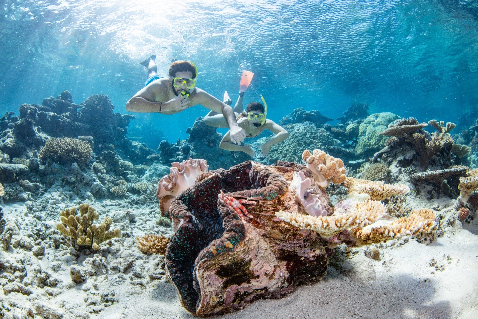 Your experience at Puerto Galera Snorkeling