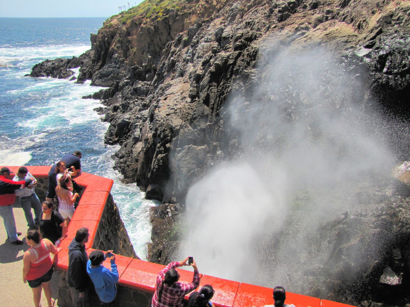 Your experience at Ensenada Cruise Excursions