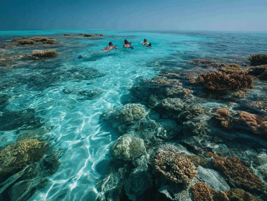 Coral Gardens