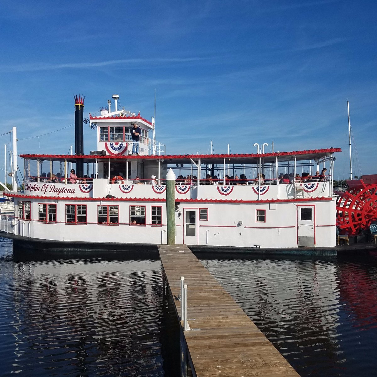 Lady Dolphin of Daytona