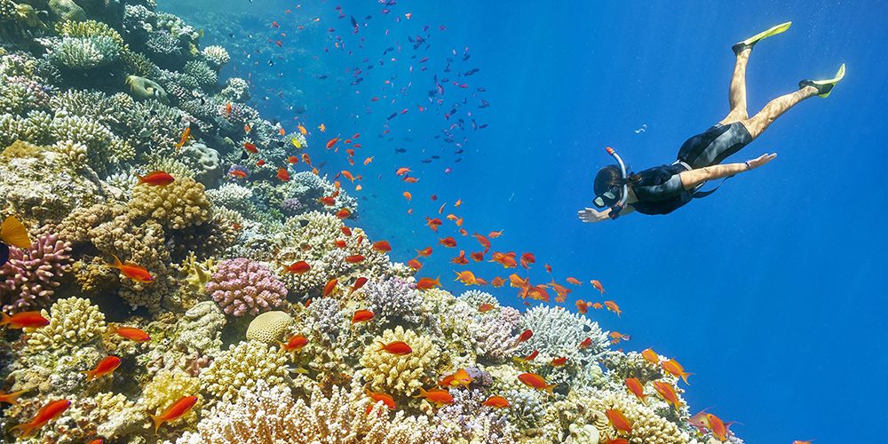 Snorkeling El Gouna