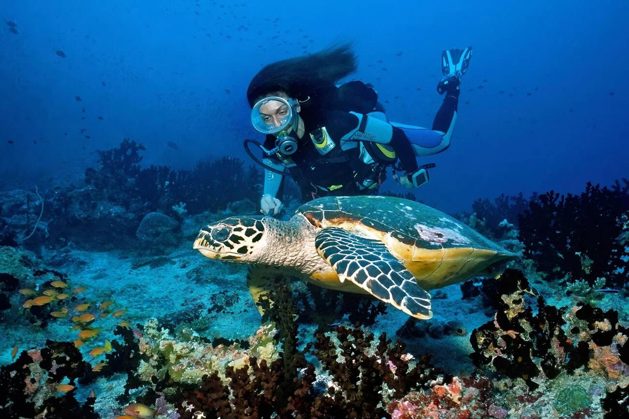 Scuba Diving Trincomalee
