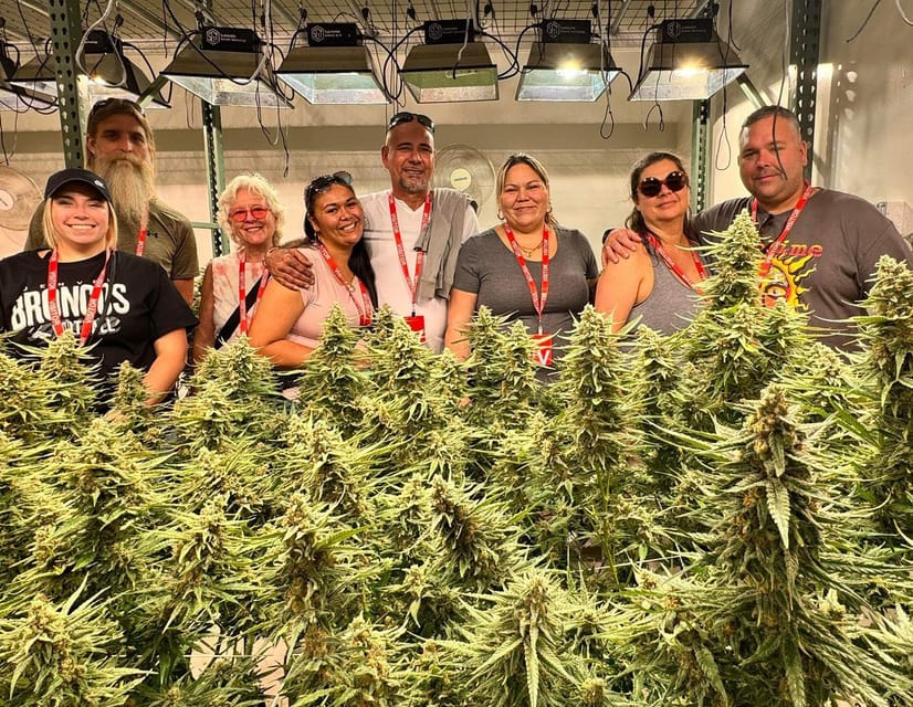Denver Weed Tours