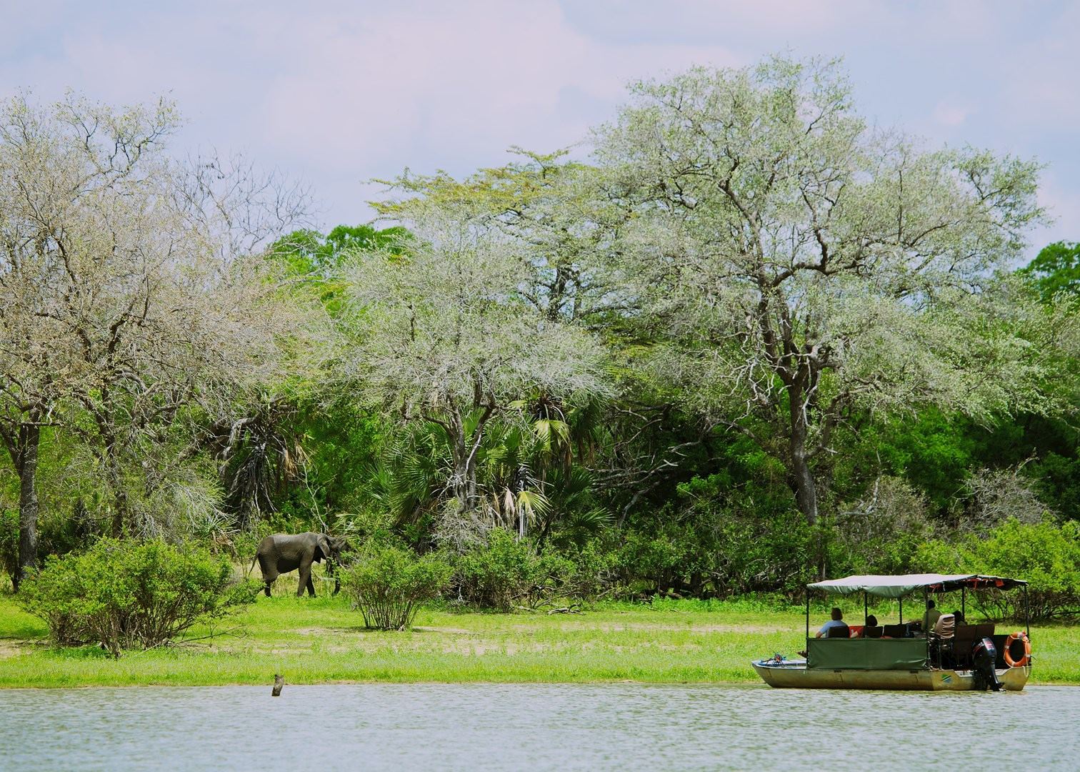 Rufiji River