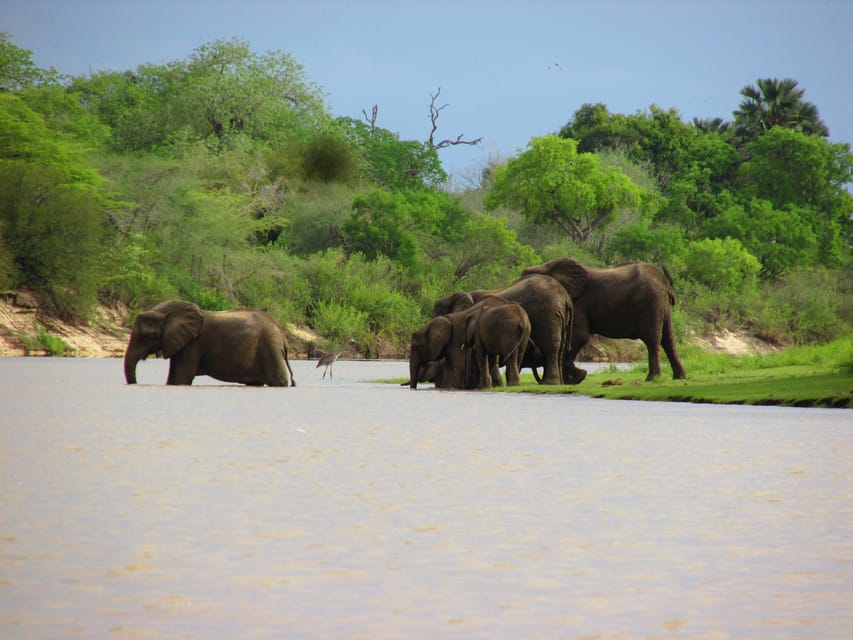 Matandu River Corridor