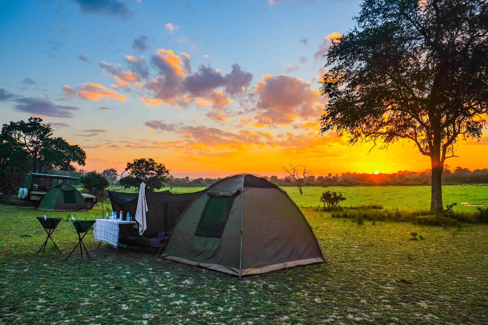 Wildlife Campsite Zones