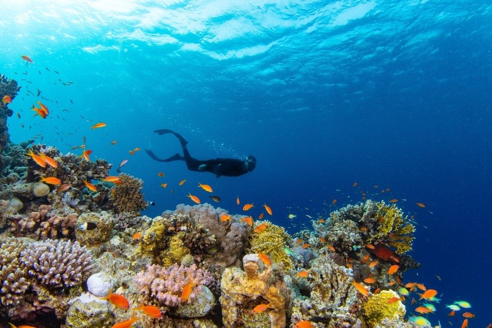 Coral Reef Sites