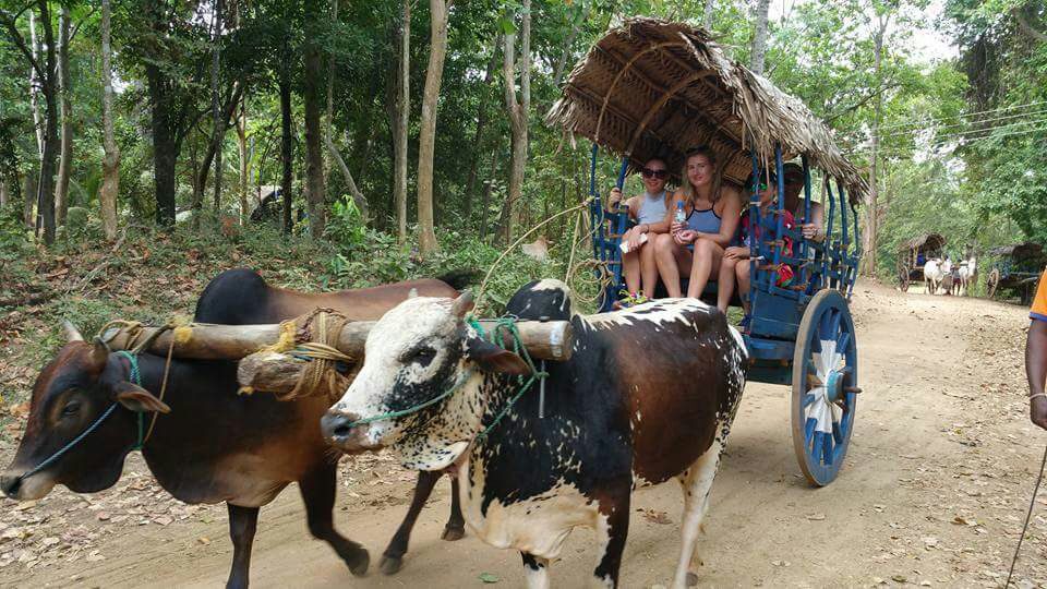 Hiriwadunna Village Tour
