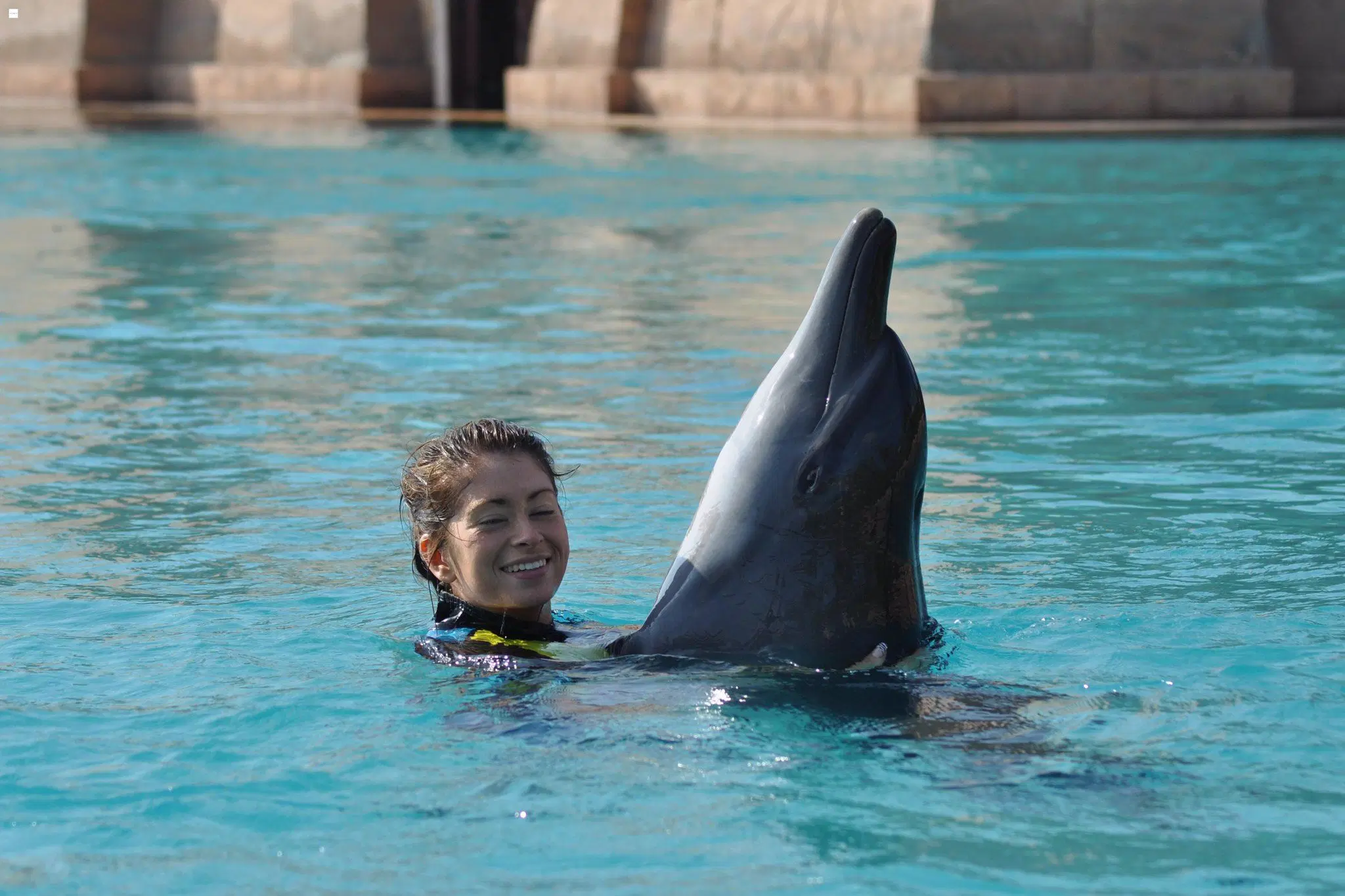 Dolphin Bay