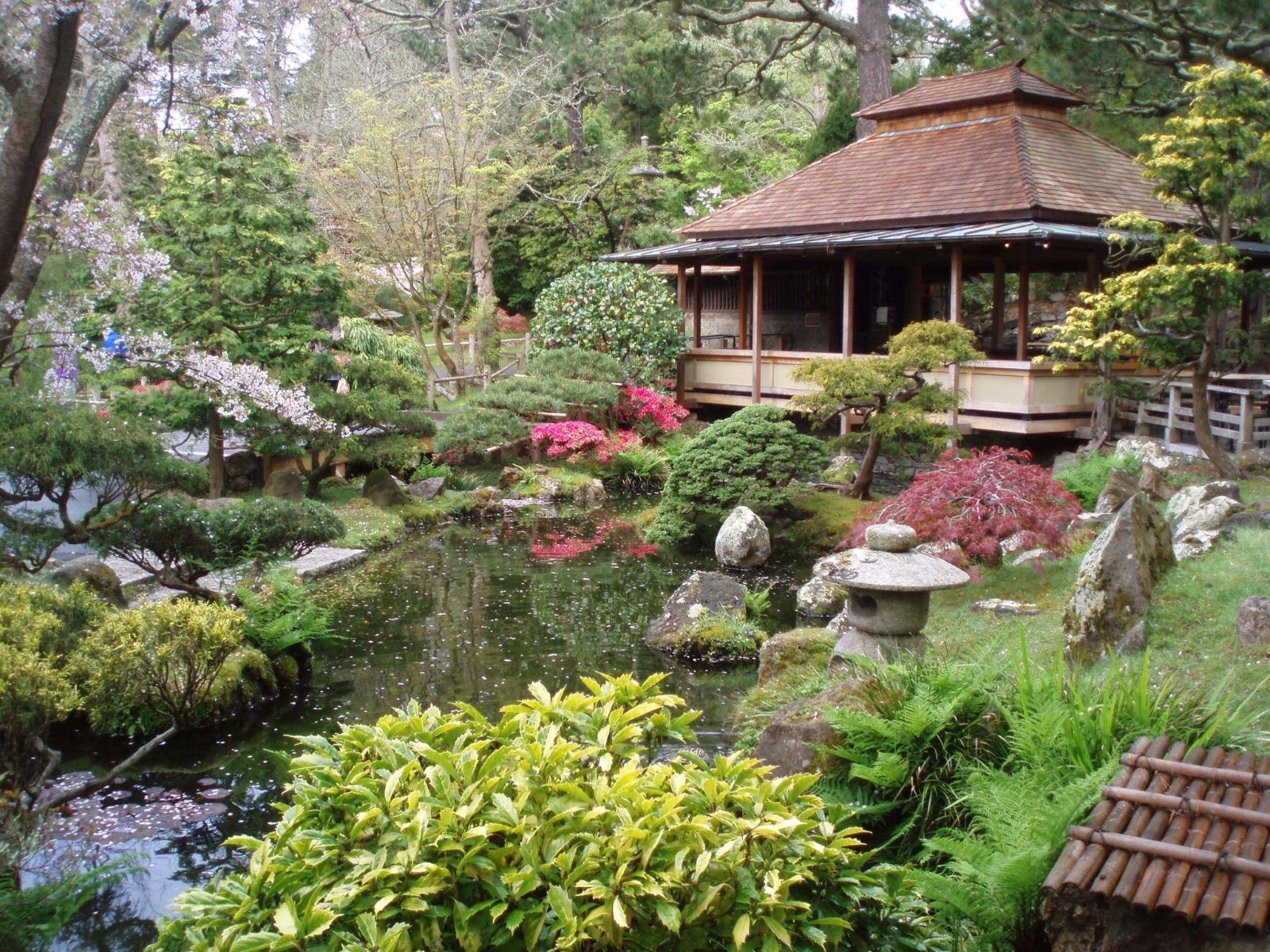 Traditional Garden