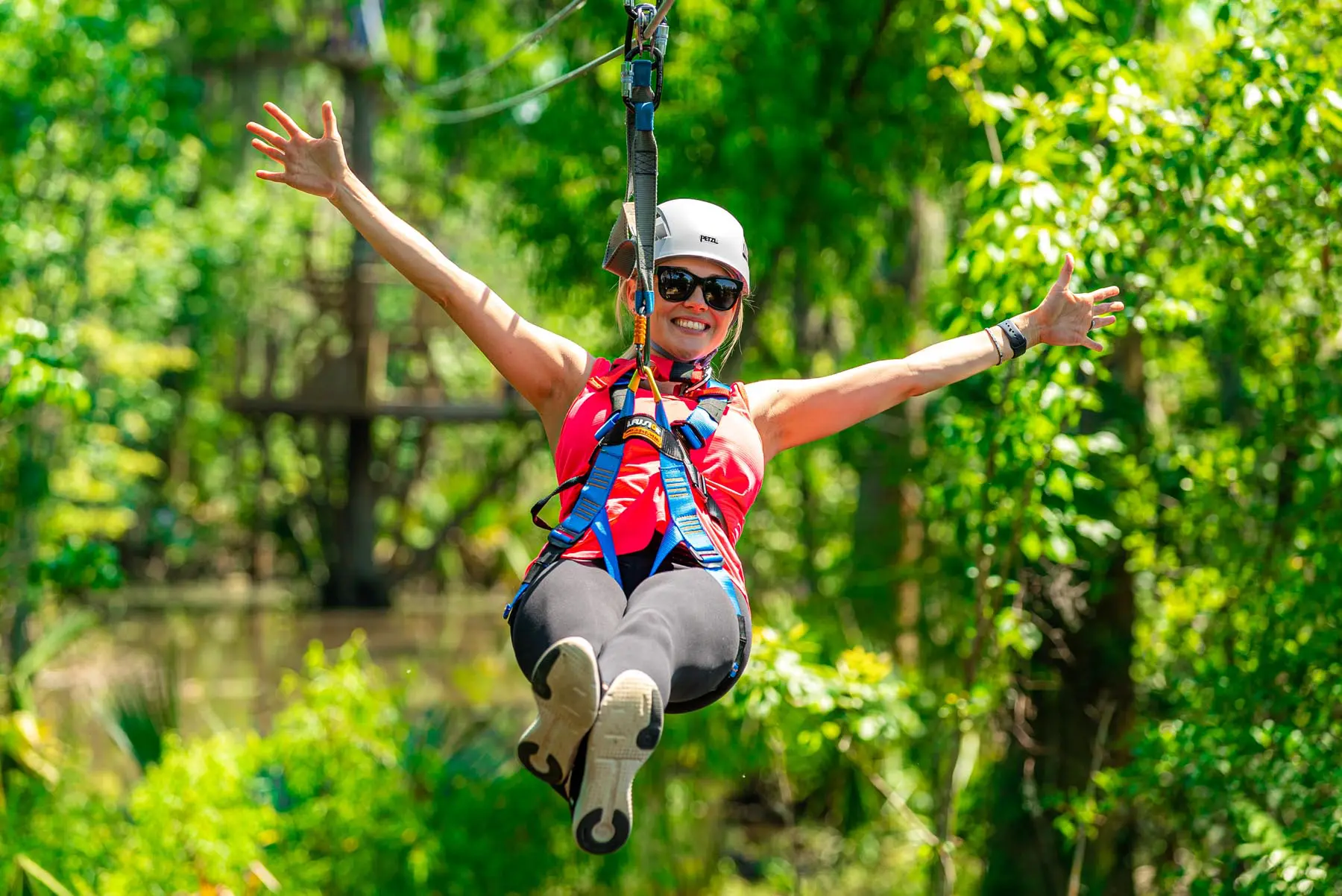 New Orleans Zipline Swamp Tour