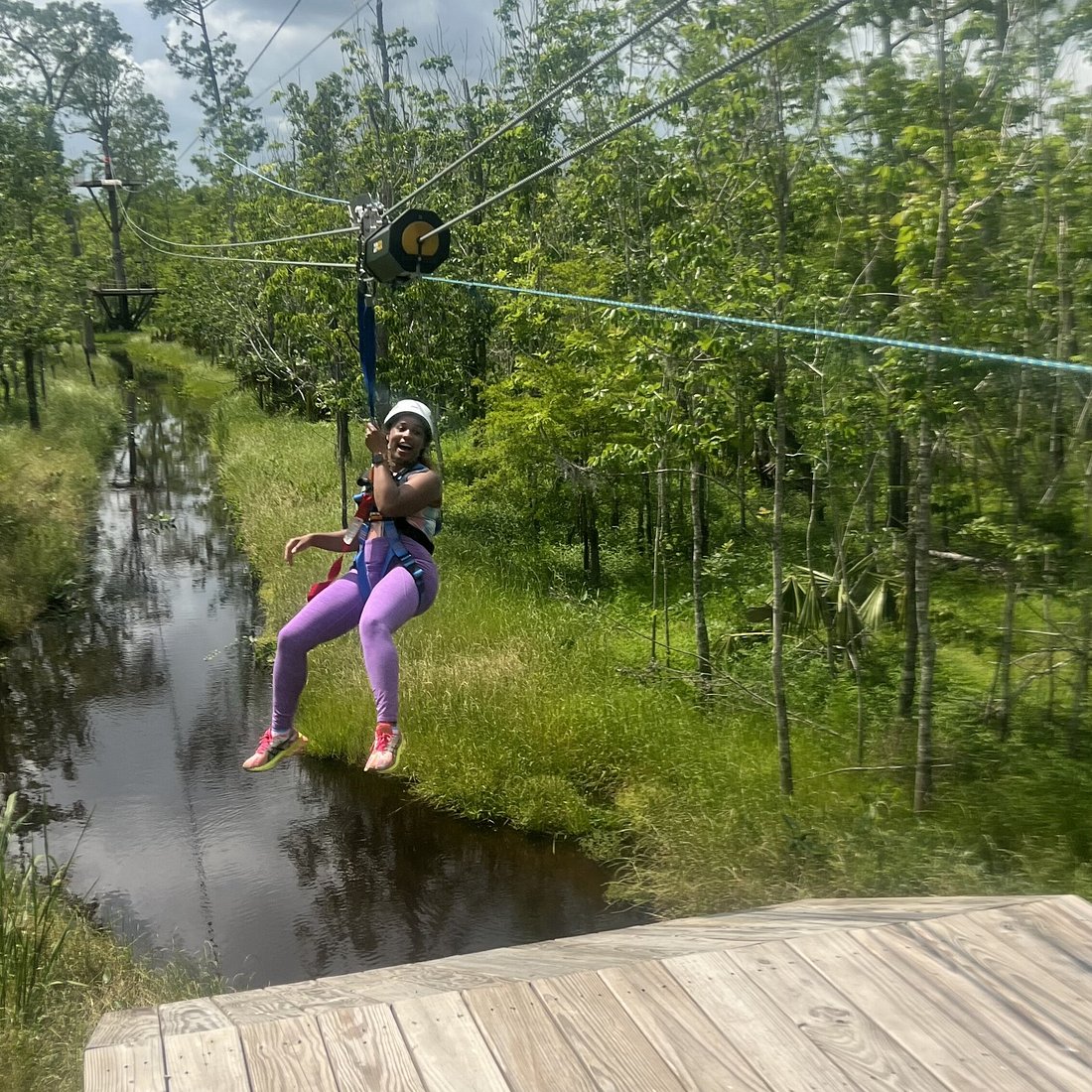 Your experience at New Orleans Zipline Swamp Tour