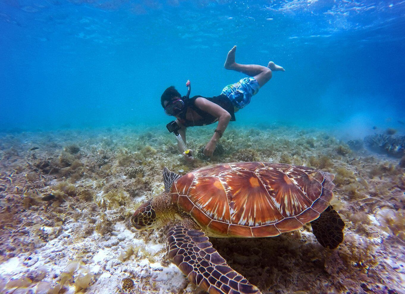 Snorkeling Banyuwangi