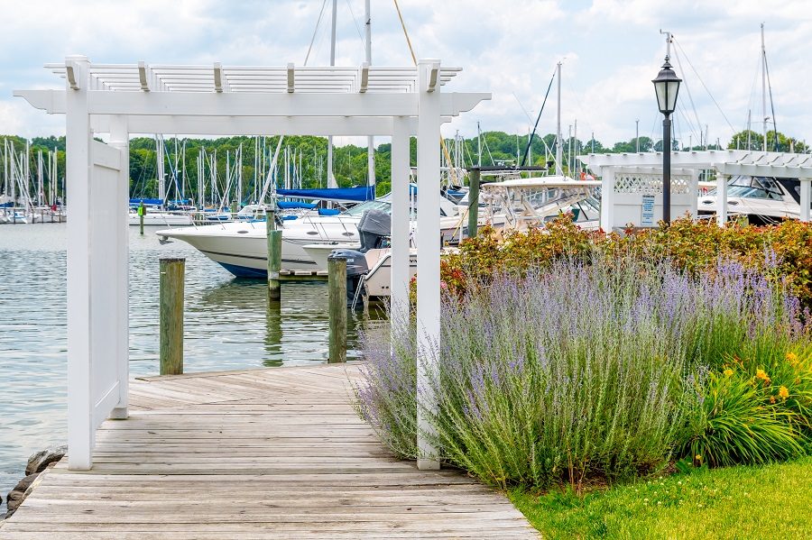 Bayou Bienvenue