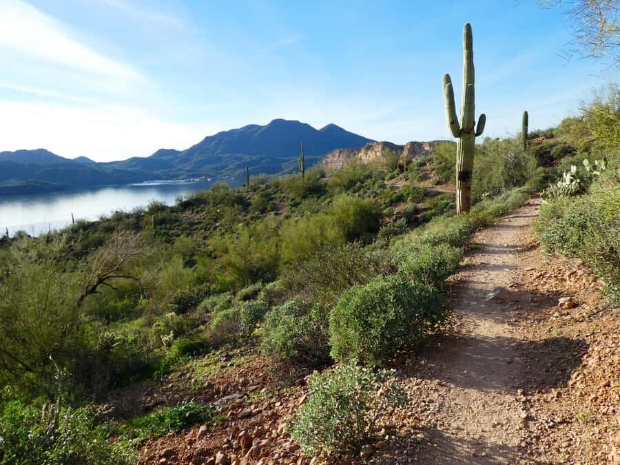 Lake Shoreline Trails