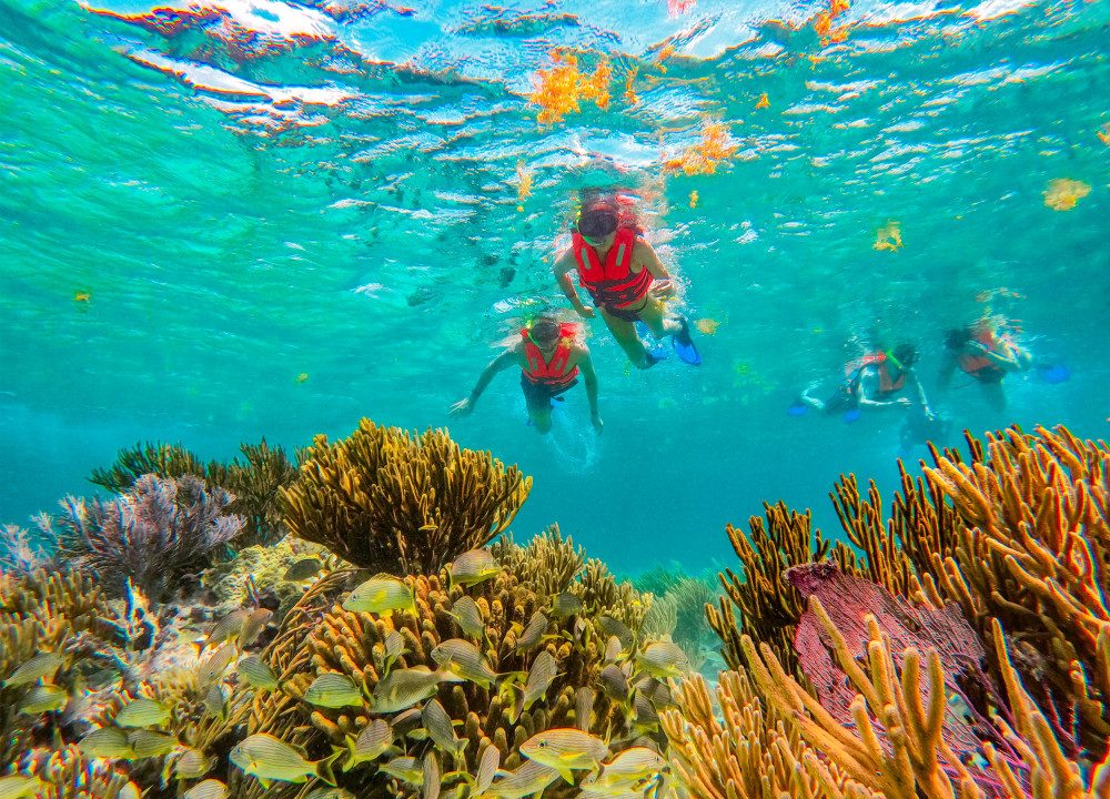 Best Snorkeling in Cancun