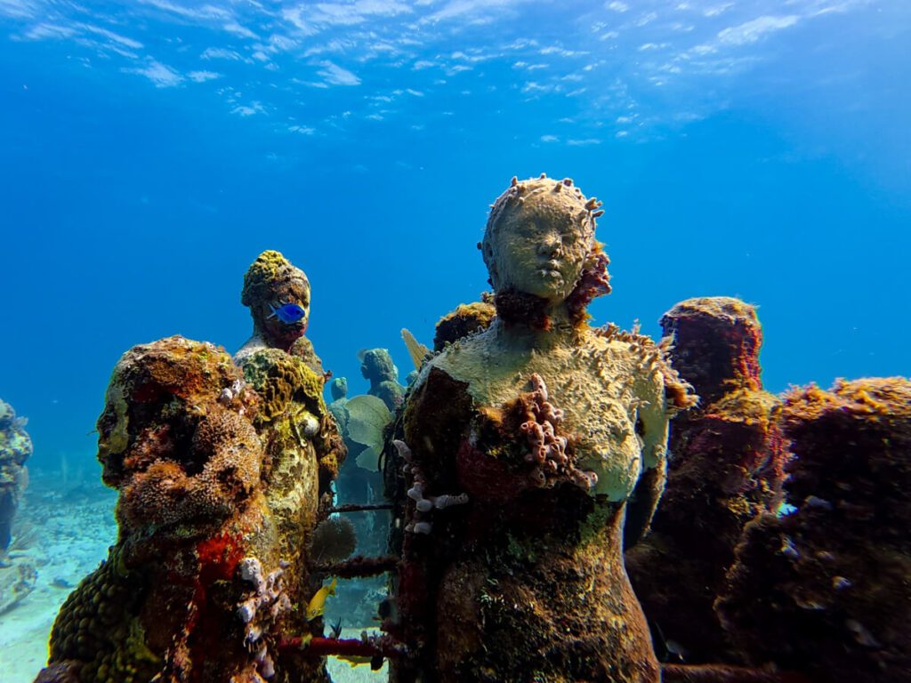 Your experience at Best Snorkeling in Cancun