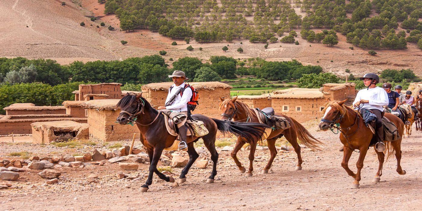 Horse Riding Marrakech