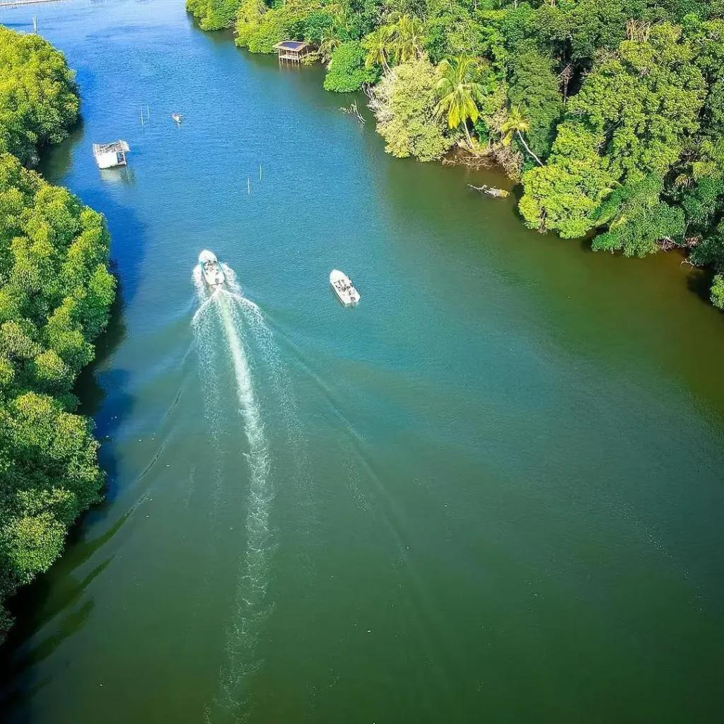 Madu Ganga Boat Safari on Sri Lanka's Southern Wetland